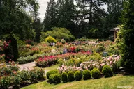 Portland City Tour Half Day thumbnail 2