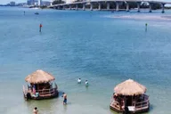 Clearwater Tiki Boat Sandbar Adventure 3 hr thumbnail 3