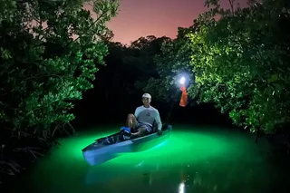 Naples Sunset Kayak Tour