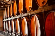 San Francisco Napa and Sonoma Wine Tour 7 hr thumbnail 4