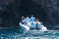 Kealakekua Bay Snorkel Tour in Captain Cook thumbnail 6