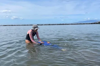 Maui Pool and Ocean Safety Lesson 60 min
