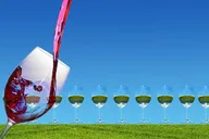 Amador County Private Wine Tour thumbnail 2
