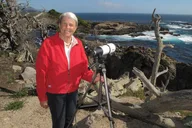 Point Lobos Nature Walk 2 hr thumbnail 2