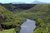 Kauai River Cruise and Lighthouse Tour thumbnail 2