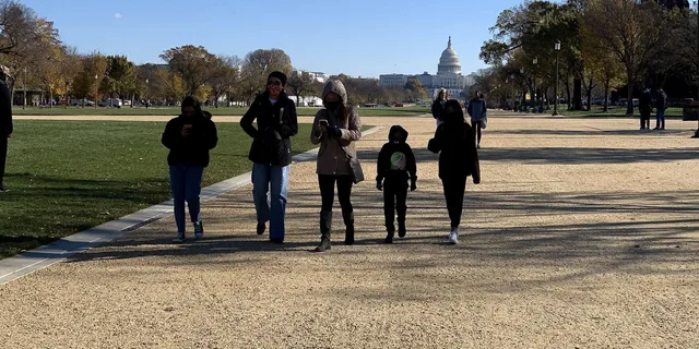 Washington DC Walking Tour and African American Museum - Image 4