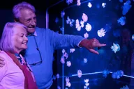 Bloomington Sea Life Minnesota Aquarium Entry thumbnail 3