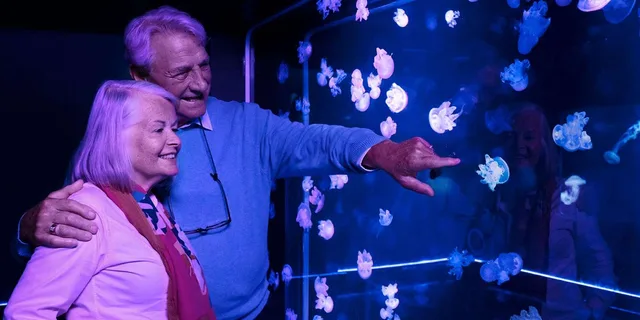 Bloomington Sea Life Minnesota Aquarium Entry - Image 3