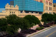 San Antonio Museum of Art Entry Ticket thumbnail 6