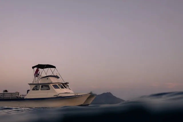 Honolulu Sunset Swim and Snorkel Cruise - Image 1