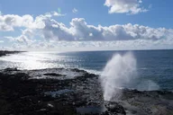 Kauai Waimea Canyon and Koke'e Adventure Tour from Oahu thumbnail 4