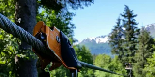 Seward Canopy Zipline Adventure