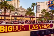 Las Vegas Hop-On Hop-Off Bus Tour thumbnail 1