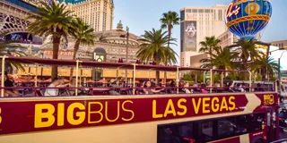 Las Vegas Hop-On Hop-Off Bus Tour