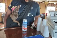 Boston Harbor Dog-Friendly Cruise 90 min thumbnail 2