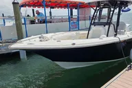 Sarasota Fishing Tour with Master Captain Bill thumbnail 2