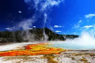 Yellowstone Private Lower Loop Adventure with Lunch thumbnail 1