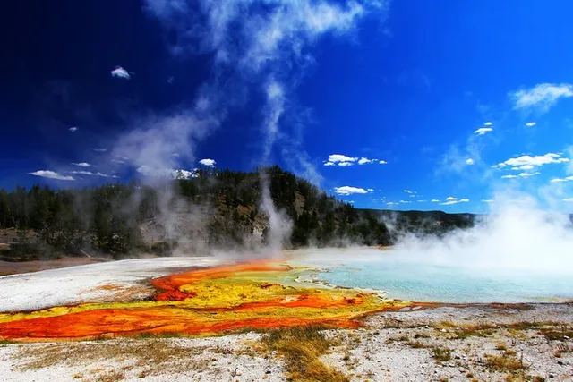 Yellowstone Private Lower Loop Adventure with Lunch - Image 1