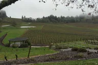 Portland Willamette Valley Wine Tour 7.5 hr thumbnail 6