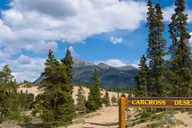 Yukon Private Tour: Lakes, Wilderness, and Hidden Gems 6.5 hr thumbnail 1