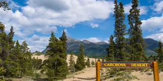 Yukon Private Tour: Lakes, Wilderness, and Hidden Gems 6.5 hr