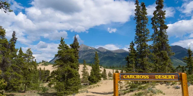 Yukon Private Tour: Lakes, Wilderness, and Hidden Gems 6.5 hr - Image 1