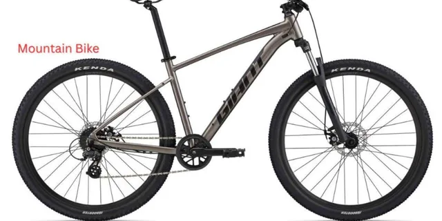 Los Angeles Bike Rental: Pedal or Electric Options - Image 4