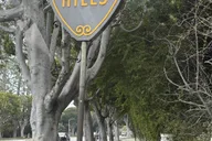 Los Angeles City Tour with Hollywood Sign - 3 hr thumbnail 6