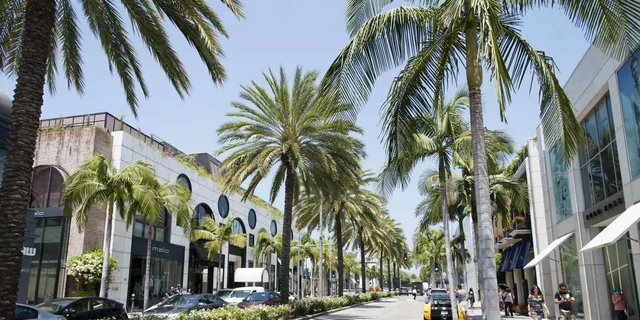 Los Angeles Private Tour - Image 2