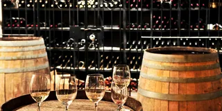Washington, DC Virginia Wine Country Day-Trip