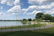 Washington DC Private Daylight Tour thumbnail 4