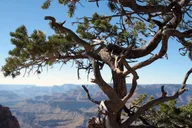 Sedona Grand Canyon Tour thumbnail 3