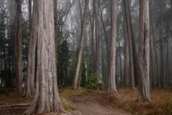 San Francisco Photography Experience at Sunrise thumbnail 4