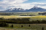 Yellowstone Indian Creek Naturalist Day Hike thumbnail 3
