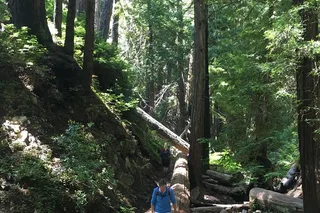 Big Sur Hiking Adventure