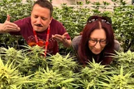 Denver Private Luxury Cannabis Tour thumbnail 2