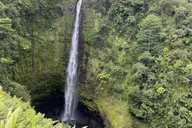 Hilo Waterfall Tour thumbnail 4