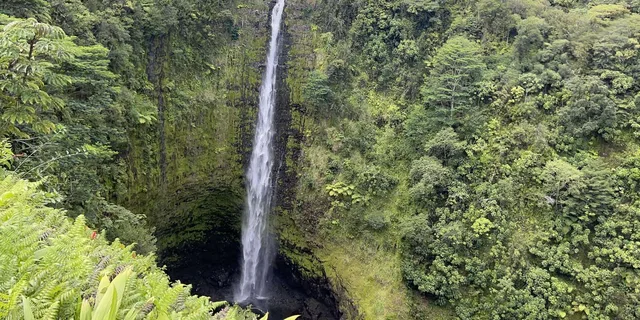 Hilo Waterfall Tour - Image 4