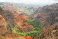 Kauai Waimea Canyon and Wailua River Tour thumbnail 2
