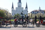 New Orleans City and Cemetery Bus Tour 2 hr 15 min thumbnail 1
