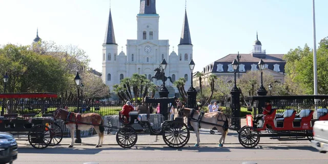 New Orleans City and Cemetery Bus Tour 2 hr 15 min - Image 1