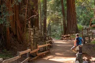San Francisco Muir Woods and Sausalito Tour thumbnail 5