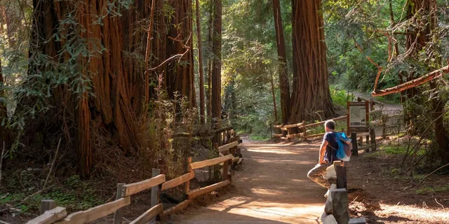San Francisco Muir Woods and Sausalito Tour - Image 5