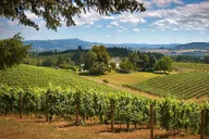 Portland Wine Tasting Tour in Willamette Valley thumbnail 2