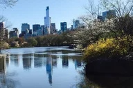 New York Central Park Pedicab Tour 40 Min thumbnail 4