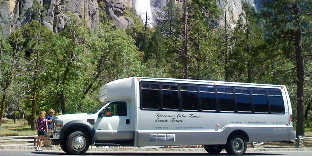 Yosemite National Park Day Trip from Lake Tahoe - Image 5