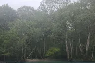 Panama City Beach Cypress Springs Kayak & Paddle Tour thumbnail 2