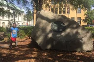 Savannah Walking Tour of Historic Sites thumbnail 5