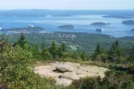 Bar Harbor Bus Tour of Acadia National Park thumbnail 4