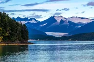 Juneau Whale Watching Cruise with Snacks thumbnail 6